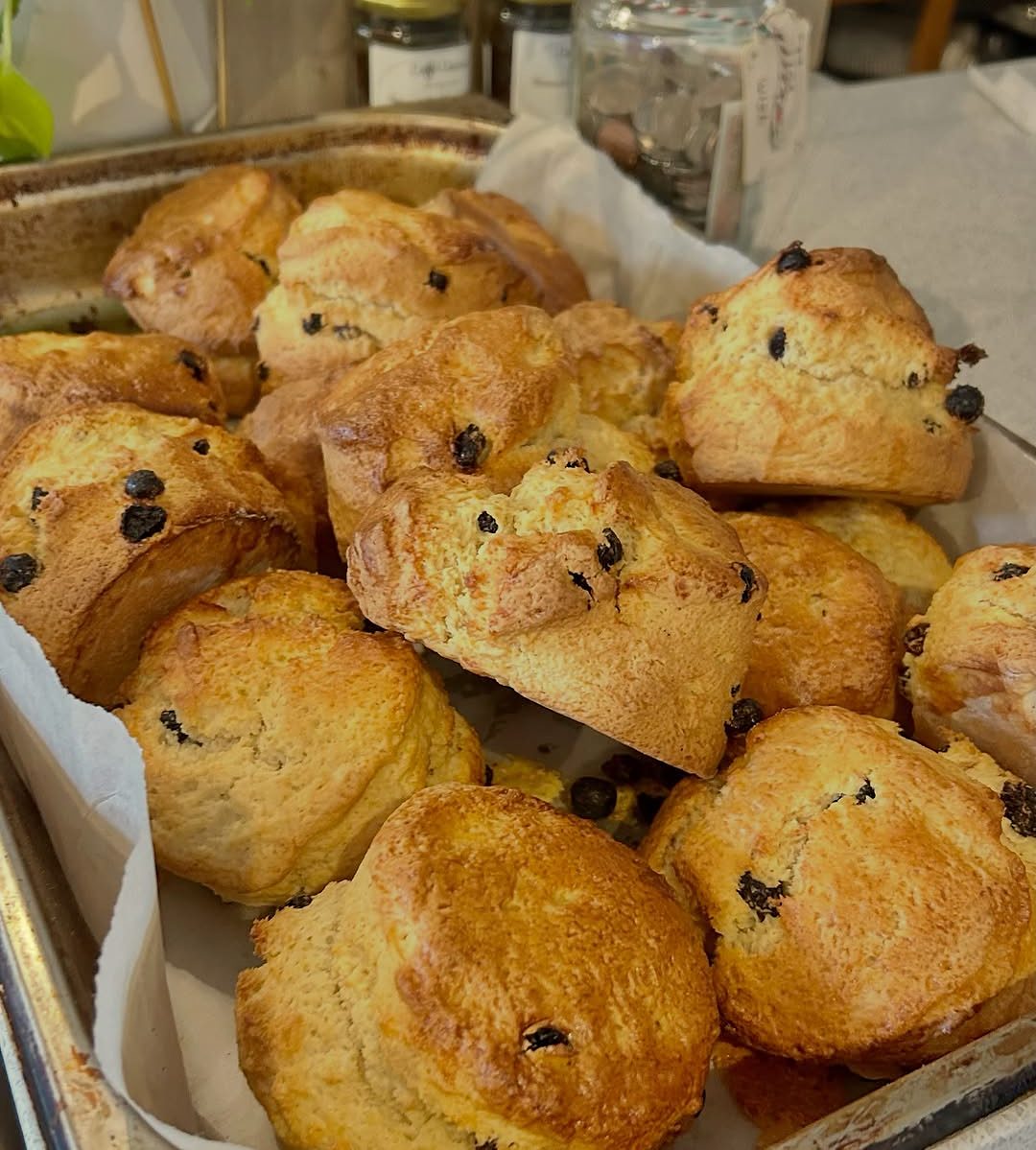 A tray of freshly baked fruit scones on the counter