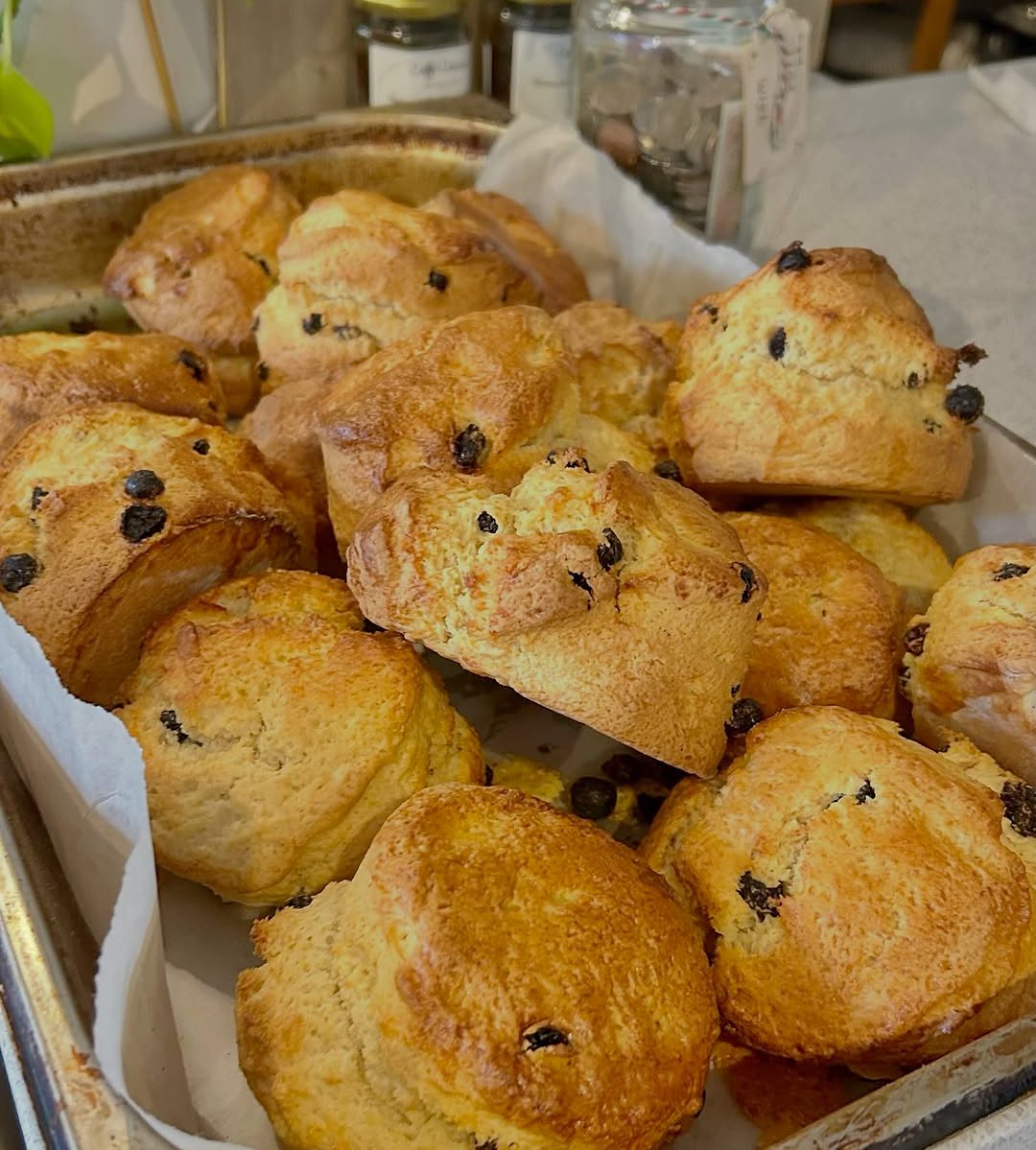 A tray of freshly baked fruit scones on the counter